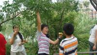 享受丰收的喜悦(200809)