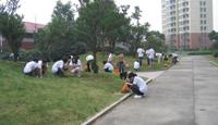学生义务劳动（20080921）