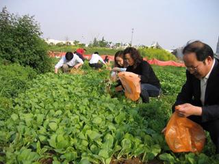 20090425享受田间乐趣