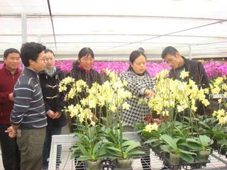 20100325绿化管理组参观考察农博园、馨和园