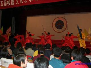 武术表演