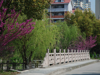 春满校园