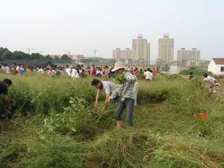 20080923师训处组织义务劳动