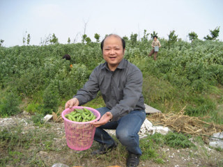 20080515享受丰收的喜悦